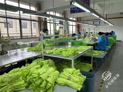 新春新氣象，赤壁服裝企業設計先行，全力沖刺“開門紅”